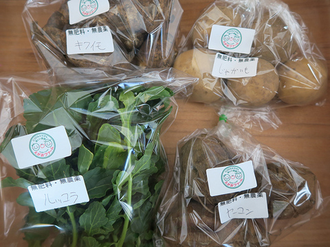 きよさんが旬のお野菜をセレクト!【肥料・農薬不使用栽培】カラダの中から笑顔になる季節の野菜セット(小・3品程度)