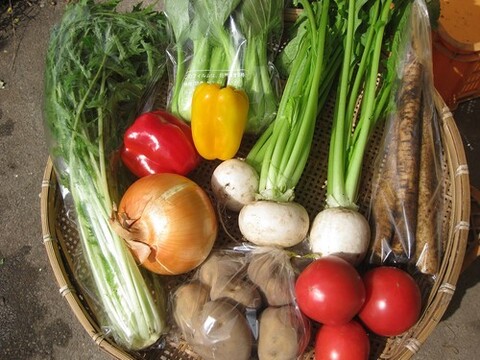 栄養価コンテスト４年連続「金賞」（小松菜）農家の　旬の野菜セット！（７品）