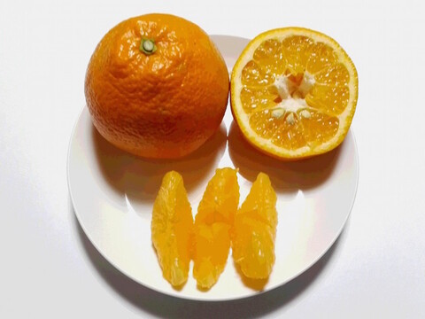 【有機JAS】愛媛が誇る柑橘！伊予柑 加工用(4kg)