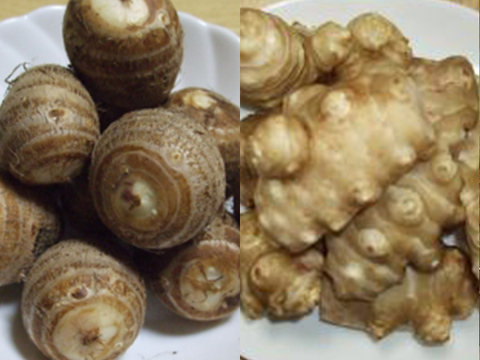自然農法＊甘い菊芋2kgとホクホク赤里芋2kgのセット販売受け付けております。