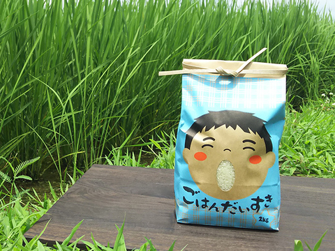 ごはん大好き!菜園家族の旅するお米「コシヒカリ」【玄米】10kg