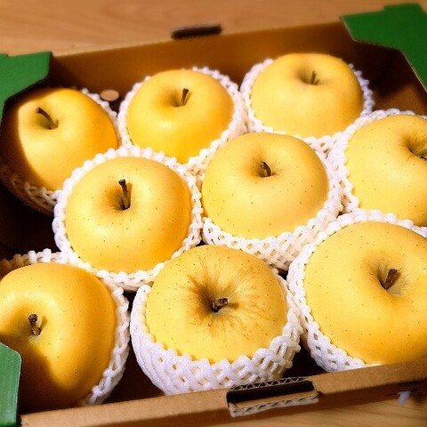 はるかりんご贈答用3キロ箱2箱セット ☆蜜センサー選別品☆高級りんご【はるか】約3kg（8～12玉）【2026年産
