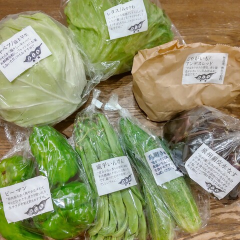 野菜セットSサイズ(7品)【農薬・化学肥料・動物性堆肥|不 野菜セットSサイズ(7品)【農薬・化学肥料・動物性堆肥|不