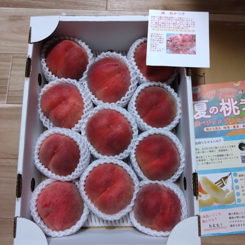 リピ割】夏姫様 【自宅用あかつき3kg 約8-12個】2箱 桃 あかつき
