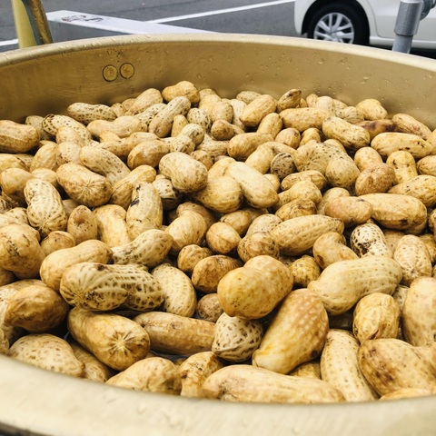 セール特価 ゆでたらおいしい”生“落花生】八街産どろ付き”おおまさり“【6kg 野菜