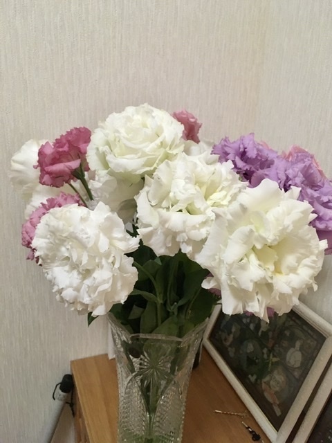 ひなまつりさんがスマートフォレストさんの大輪で華やか トルコキキョウ 切り花 輪束 が 届いたよ を投稿しました 食べチョク