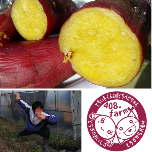 408 Farmへのご馳走様でした 食べチョク