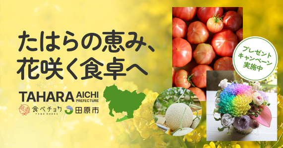 海と太陽が育てる『たはらの恵み』を味わって