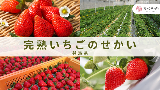 群馬の「完熟いちご」が美味しい理由は、この“作り手たち”にありました。
