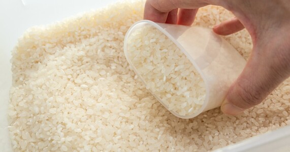 米の虫はどこから入る？精米後の混入原因と対策
