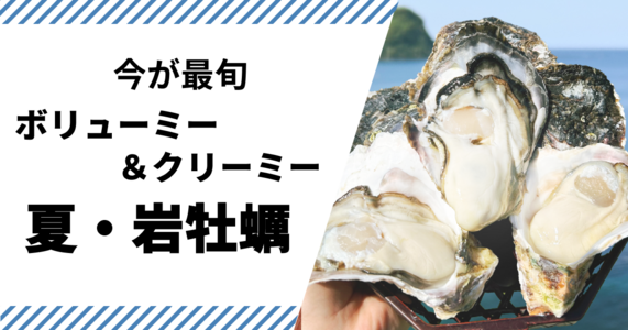 【岩牡蠣が最旬】一口では食べきれないほどのボリュームに感動！獲れたてを産地直送																														