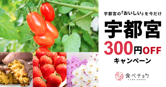 鬼怒川の清流と豊かな大地が育む宇都宮の「おいしい」を今だけ【300円OFF】でお届け！✨