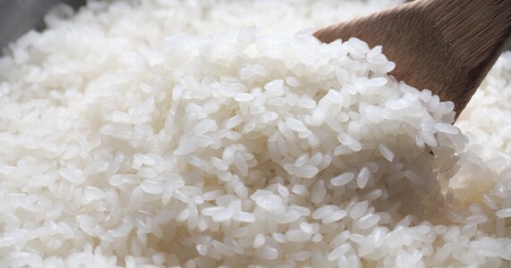 米の炊き方を完全解説｜準備から保存まで