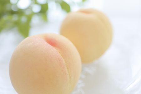 【夏限定】幻の果実「岡山の白桃」を産地直送で。とろける甘さを自宅で味わおう