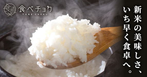通販で探す「絶品新米」｜コシヒカリから人気品種まで、あなた好みのお米ガイド
