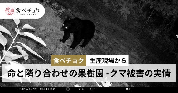  命と隣り合わせの果樹園。クマ被害の実情