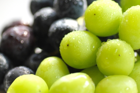 【農家直伝】ぶどうを長持ち保存させるコツとは…？