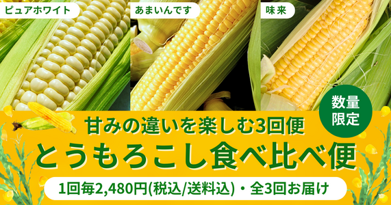 旬の味覚を3回お届け!「とうもろこし食べ比べ便」