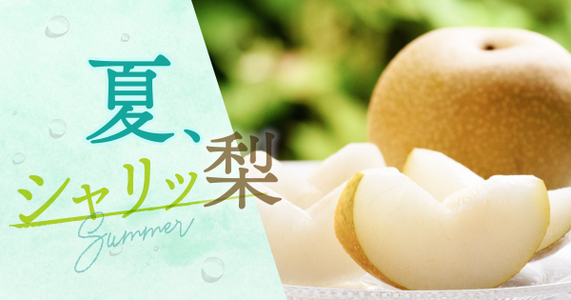 冷やしてとろける“果汁のかたまり”！夏に食べたい梨の魅力をまるごと体験