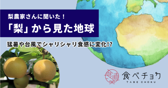 梨農家さんへ聞いた！＜梨からみる地球＞　猛暑やゲリラ豪雨などの気候変動で梨がピンチ！？シャキシャキ食感を守ろう！	