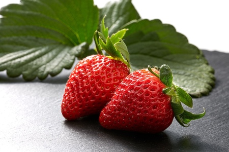 【いちご戦国時代インタビューvol.2】茨城県が誇る「いばらキッス」生みの親が語る、10年の情熱と「濃厚な味の秘密」