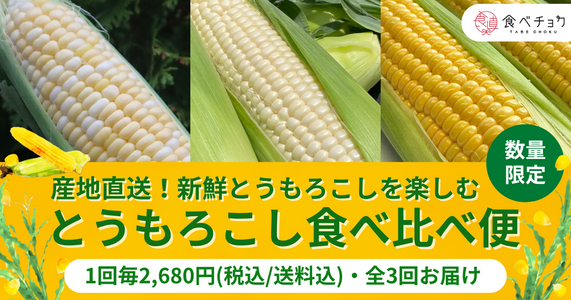 産地直送！新鮮とうもろこしを楽しむ「とうもろこし食べ比べ便」