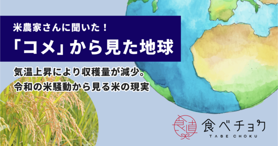 米農家さんに聞いた！＜米から見た地球＞ 気温上昇により収穫量が減少。令和の米騒動から見る米の現実 | 食べチョク