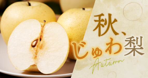 【梨の種類と旬ガイド】幸水・豊水など品種ごとに変わる梨の旬と最高の食べ頃を徹底解説