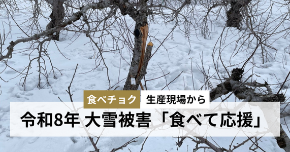 令和8年大雪被害に遭った生産者さんの農産物を「食べて応援」
