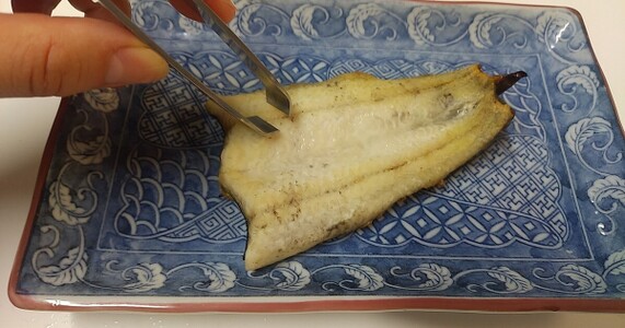 魚の骨抜きを完全マスター｜手順・器具・保存まで解説