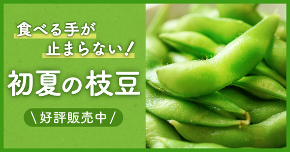 【旬の枝豆特集】季節とともに変わる味わいを楽しむ！