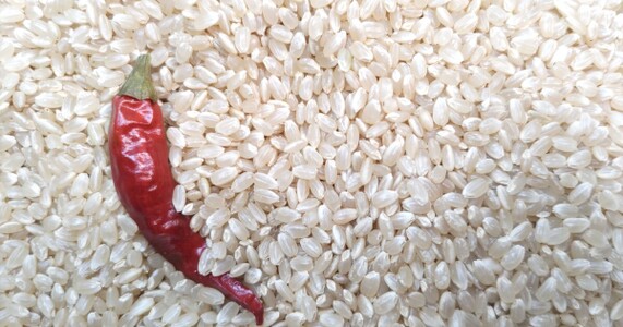 米の虫対策｜発生原因から予防法まで完全解説