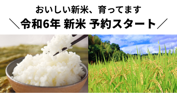 【おいしい新米、育ってます！】令和6年 新米 予約スタート！