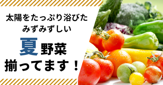 体にチャージ！夏バテに負けない！みずみずしい夏野菜