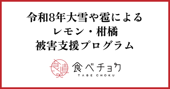 令和8年 大雪や雹によるレモン・柑橘被害支援プログラム