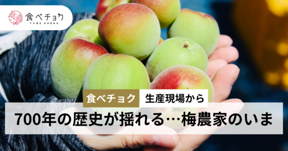 【食べチョク 生産現場から #梅】梅しごとが未来の鍵。700年の歴史が揺れる…2025年梅農家のいま