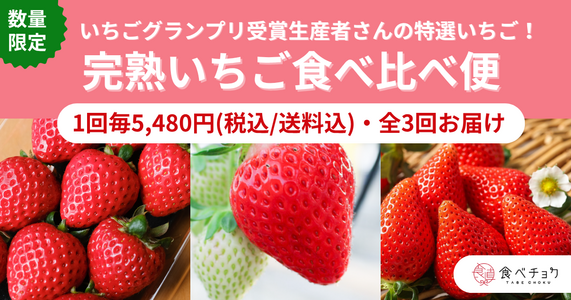 いちごグランプリ受賞いちごが3回届く！「完熟いちご食べ比べ便」