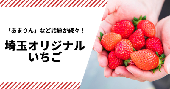 全国のコンテストで金賞続々！埼玉県オリジナルいちご「あまりん」「かおりん」「べにたま」