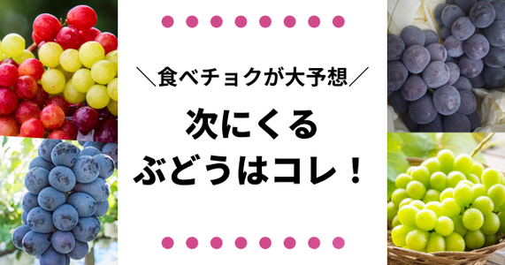 シャインマスカットの次のスター品種は？！ 次来る「ヒットぶどう」を大予想！