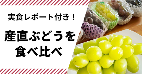 【食べチョク実食レポート｜ぶどう編】産地直送のぶどうって何が違うの？