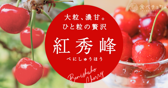 夏のご褒美にふさわしい、極上のさくらんぼ「紅秀峰」