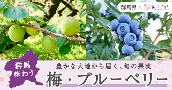 群馬県で育まれた梅とブルーベリー｜初夏の旬を産地直送でお届け