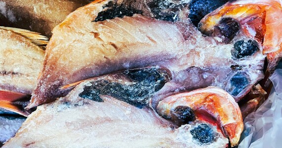 冷凍した魚の日持ちは何日？種類別の目安と保存法