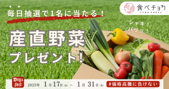 【毎日抽選で1名様に！】産直野菜BOXをプレゼント