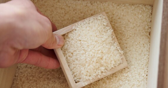 古米の臭い5つの原因と消し方｜鮮度を判断するコツ