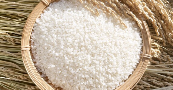 米600gは何合か｜生米・炊飯後の換算と杯数目安