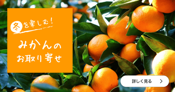 みかんの季節がやってきた！人気の柑橘特集