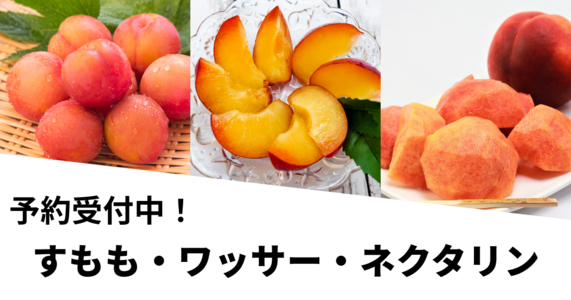 夏に食べたい!「すもも・ワッサー・ネクタリン」の魅力と選び方