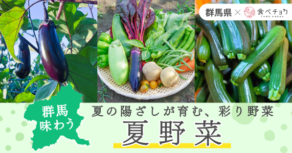 夏本番！瑞々しい群馬の朝採り夏野菜｜産地直送で届く旬の恵み