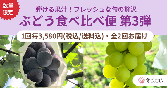 ※完売しました※大好評につき第3弾！旬の贅沢「ぶどう2種食べ比べ便」